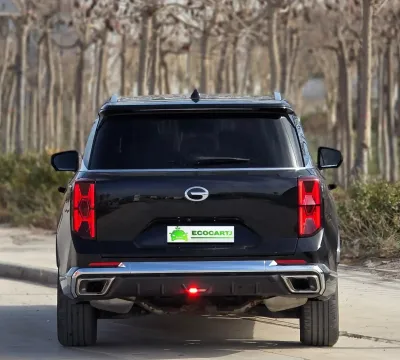 GAC Trumpchi GS8, 2021