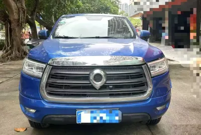 Great Wall, 2020 на заказ