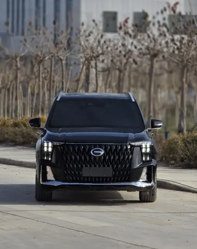 GAC Trumpchi GS8, 2022