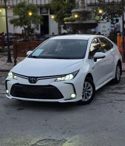 Toyota Corolla, 2020