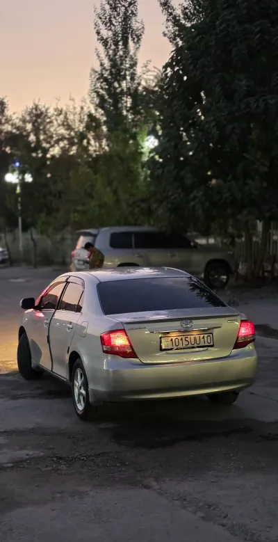 Toyota Axio, 2009