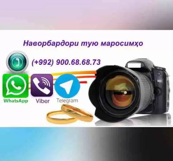 Пользователь №12681