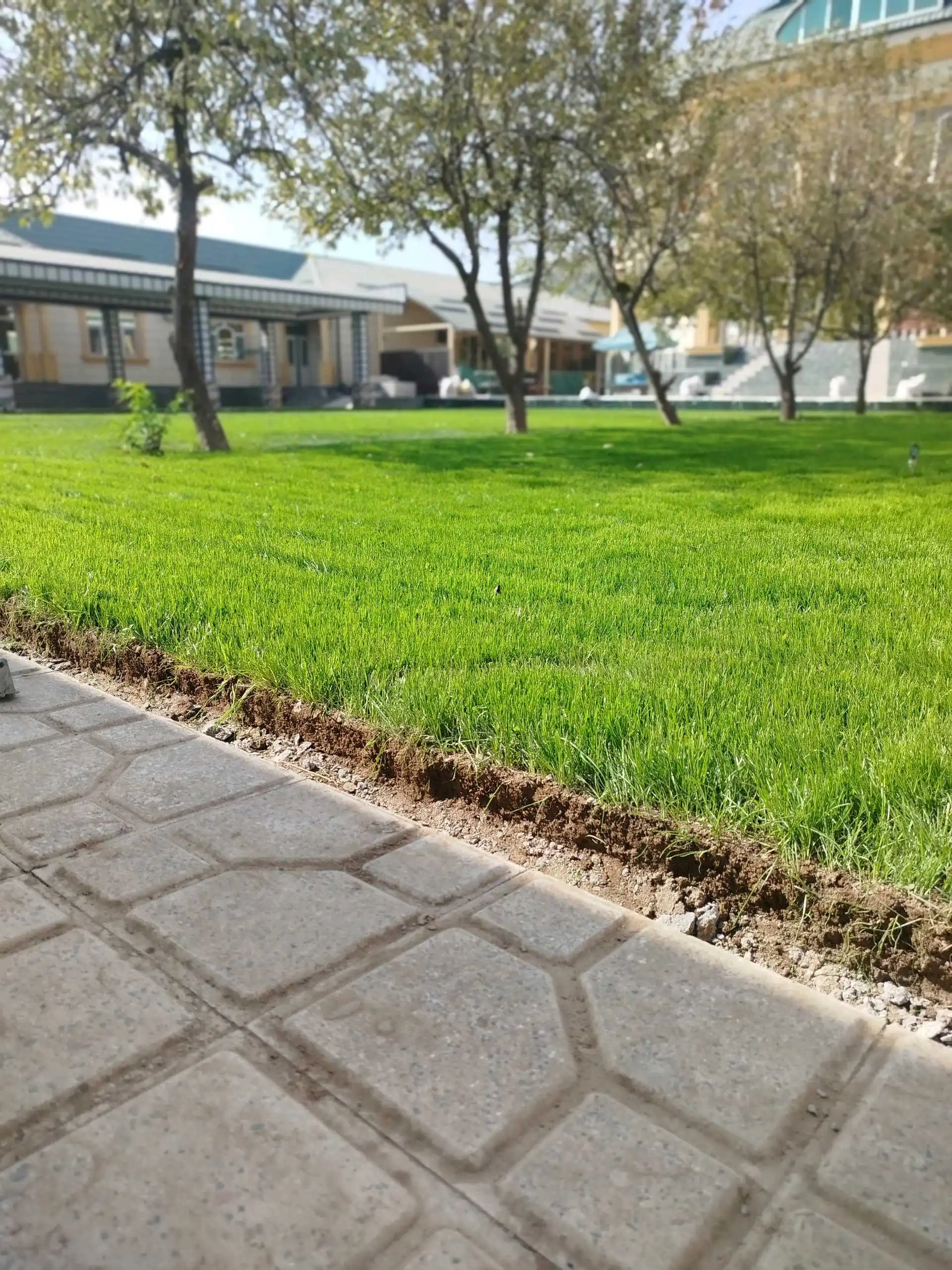 Фарид