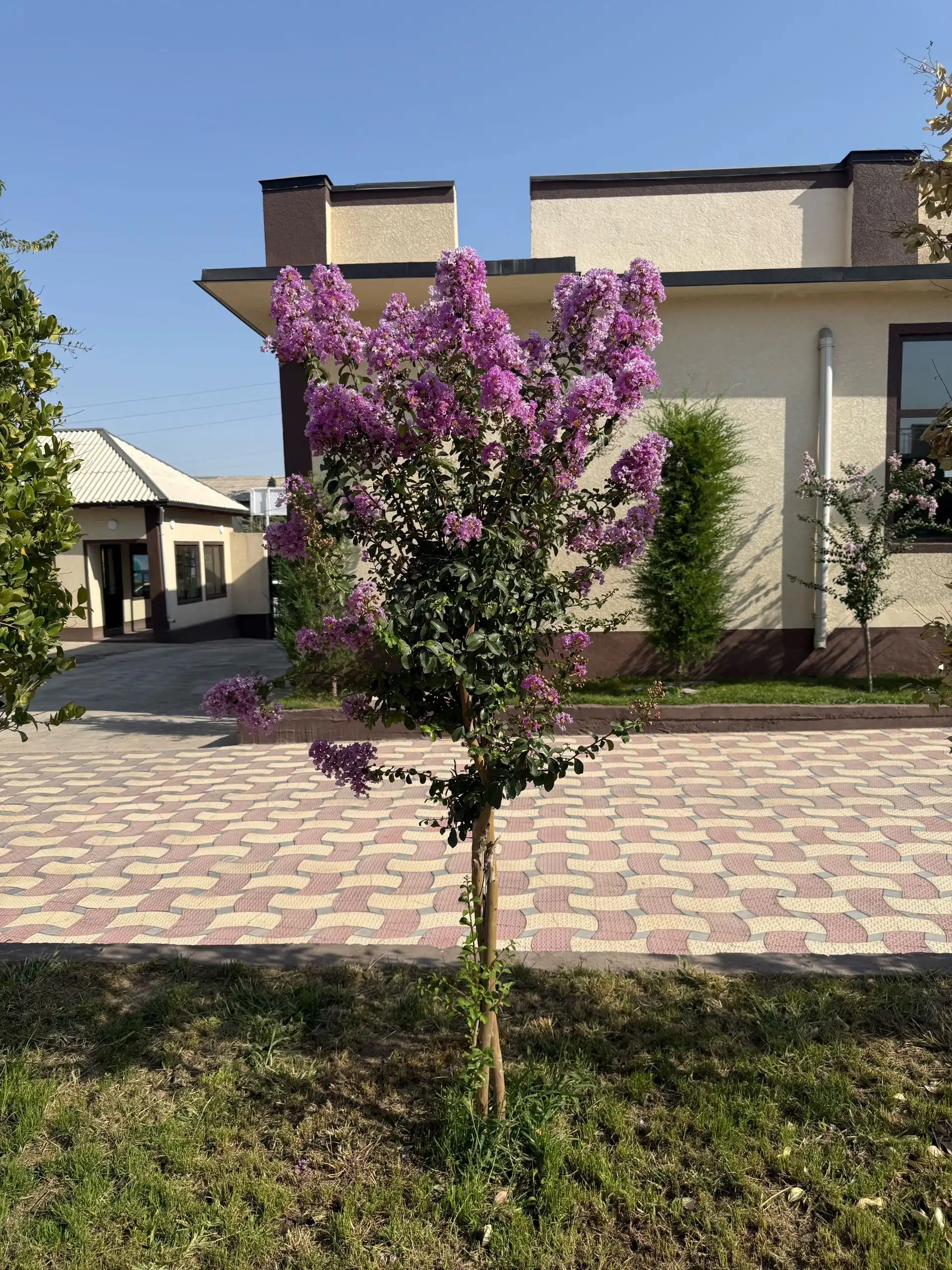 Сухроб