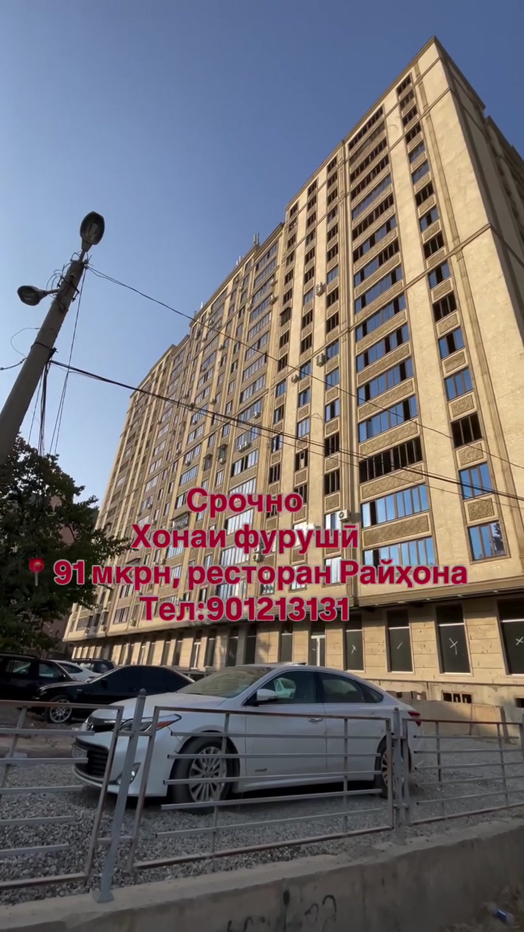 Видео рилс