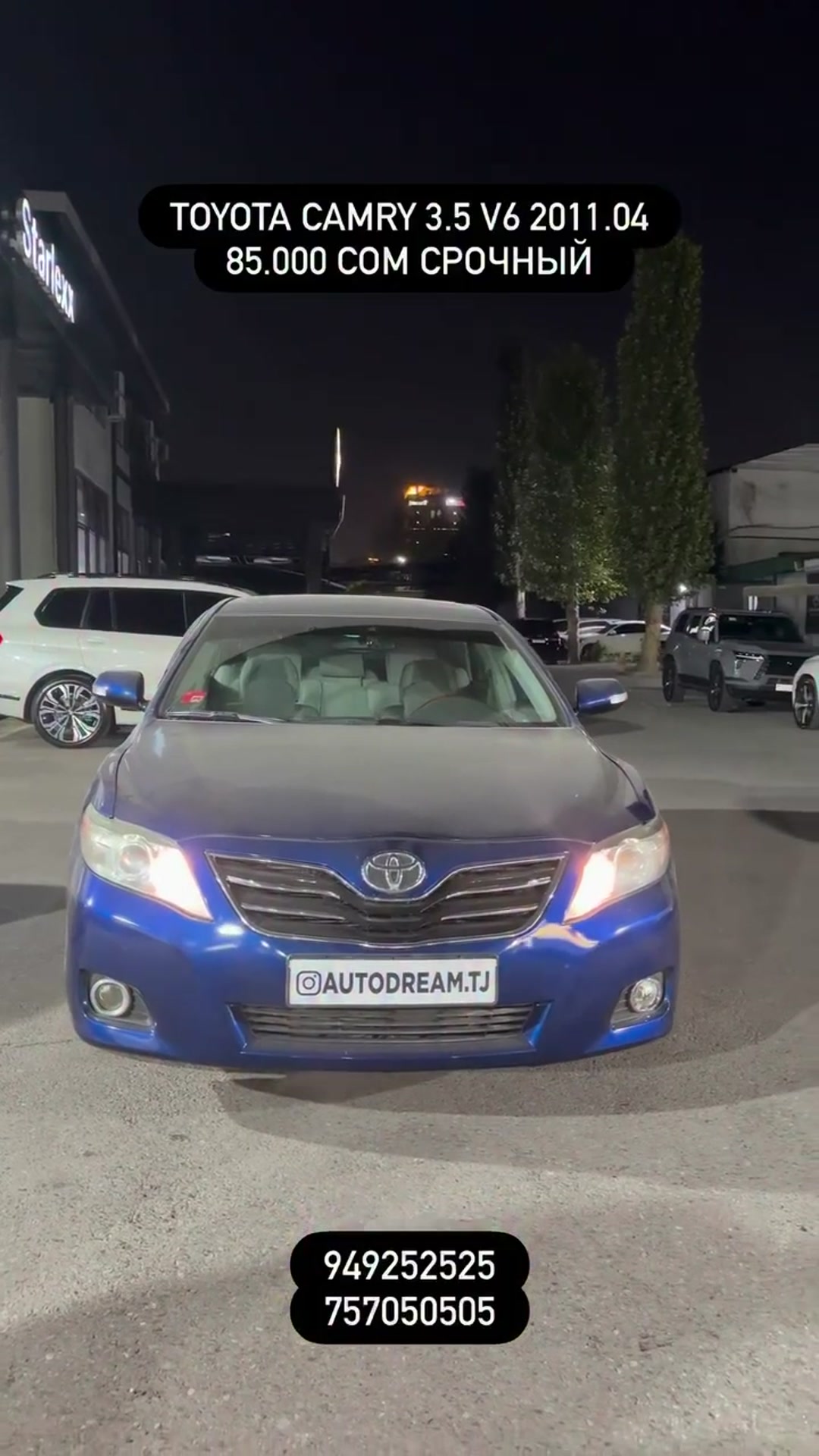 Видео рилс