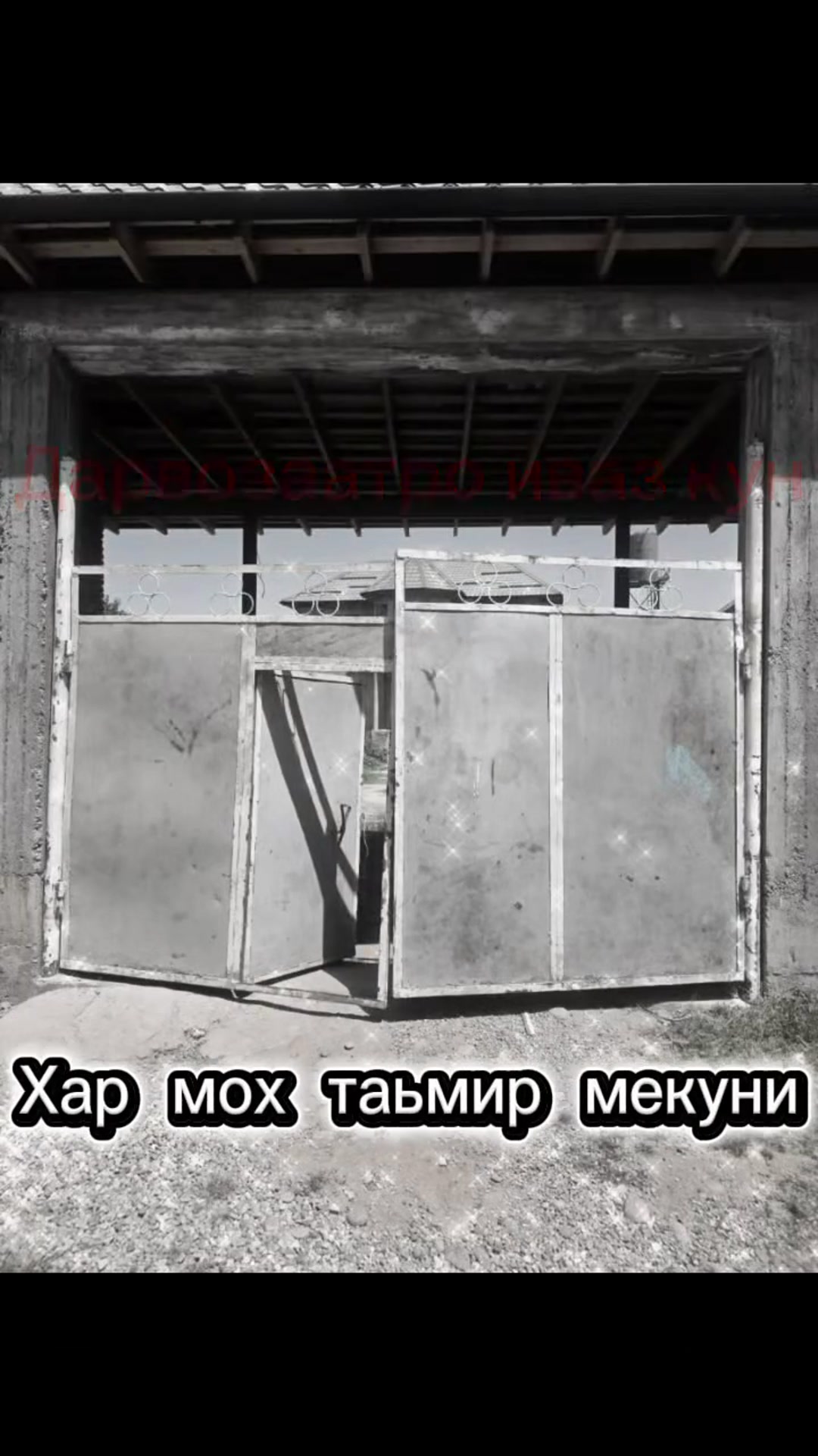 Видео рилс